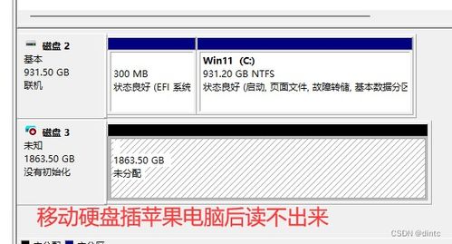 蘋果電腦無法識別移動(dòng)硬盤？數(shù)據(jù)恢復(fù)與專業(yè)解決方案詳解